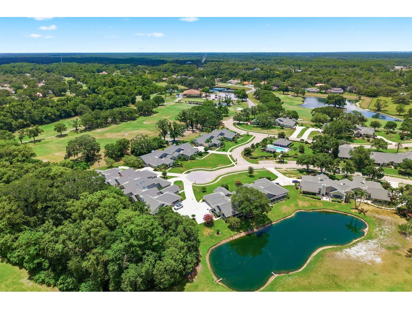 2631 Royal Liverpool Drive Tarpon Springs FL 34688 TB8522152 image65