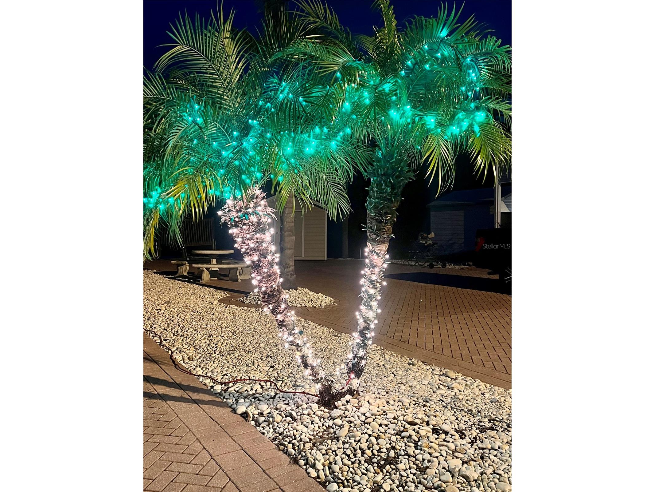 2631 St George Drive Davenport FL 33837 O6182599 image22