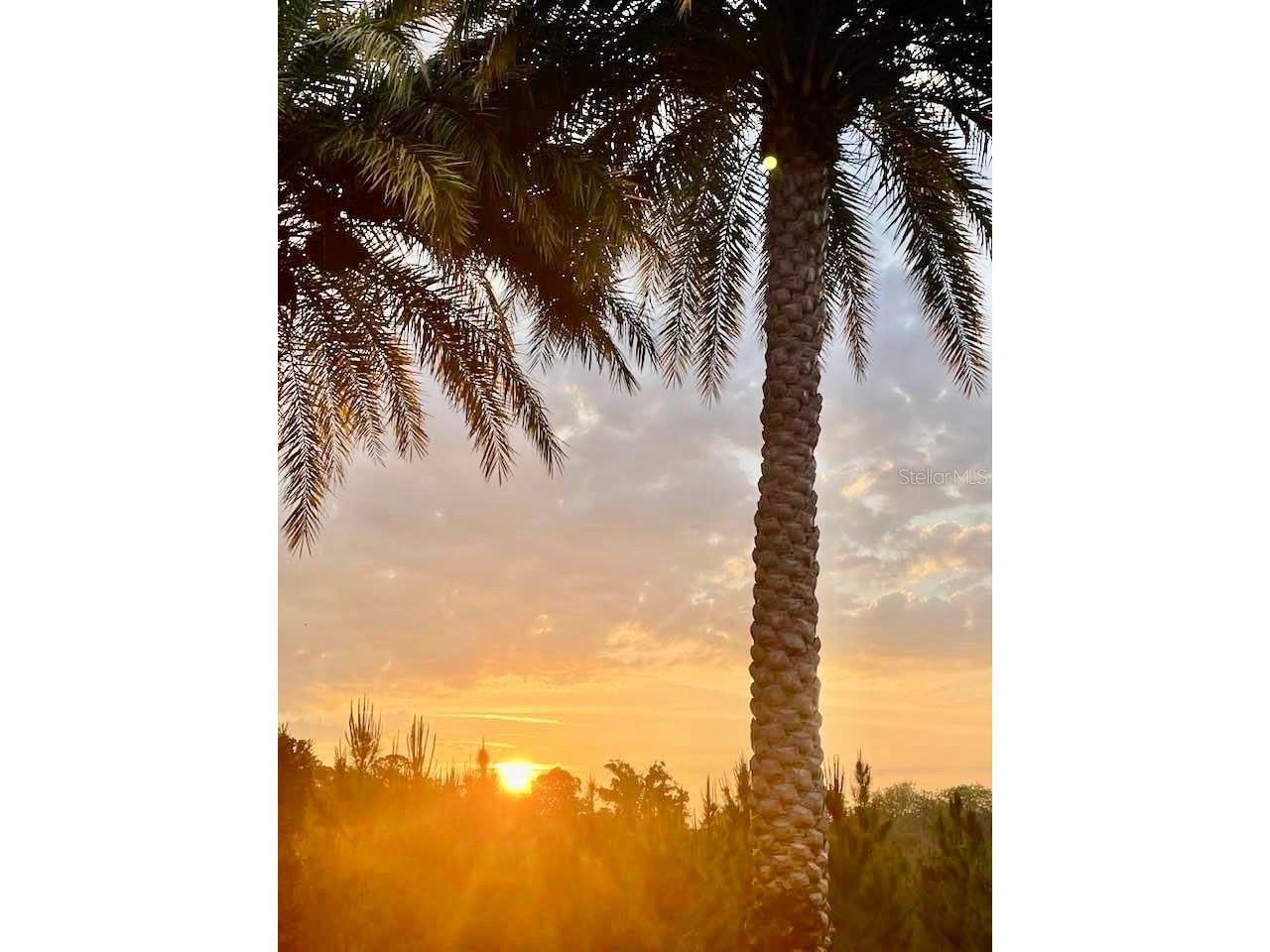 2631 St George Drive Davenport FL 33837 O6182599 image31