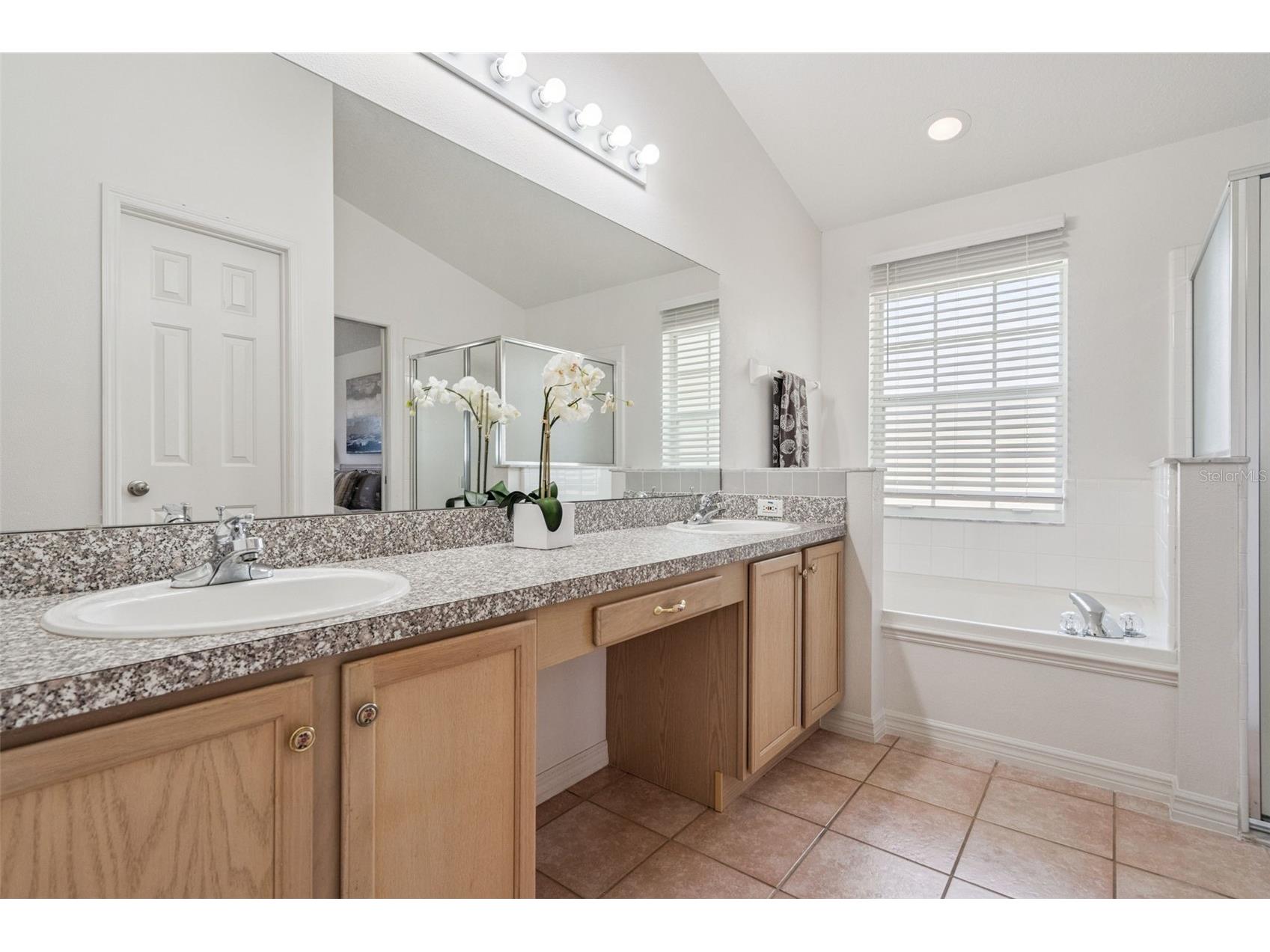 2631 Star Lake View Drive Kissimmee FL 34747 O6390899 image26