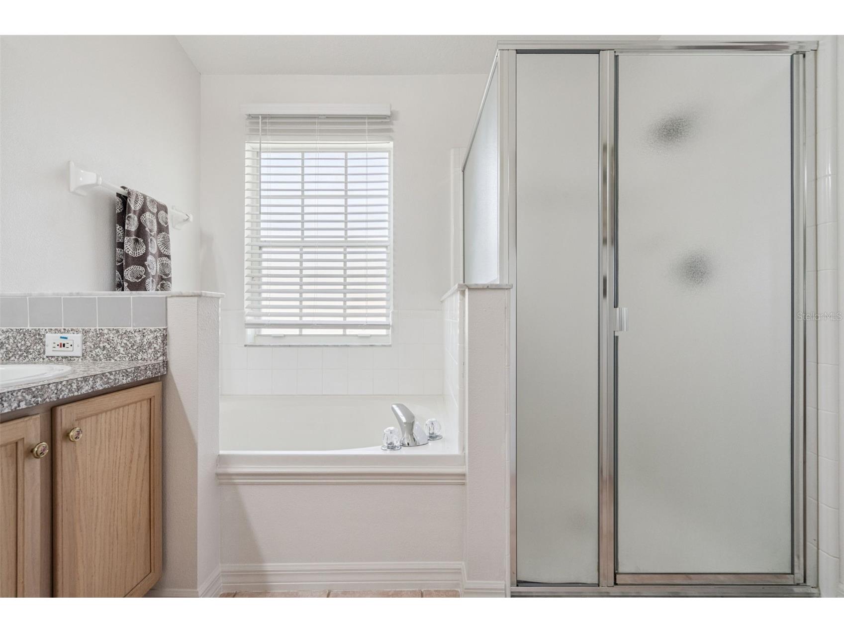 2631 Star Lake View Drive Kissimmee FL 34747 O6390899 image27