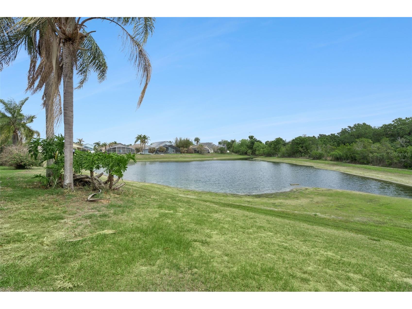 2631 Star Lake View Drive Kissimmee FL 34747 O6390899 image36