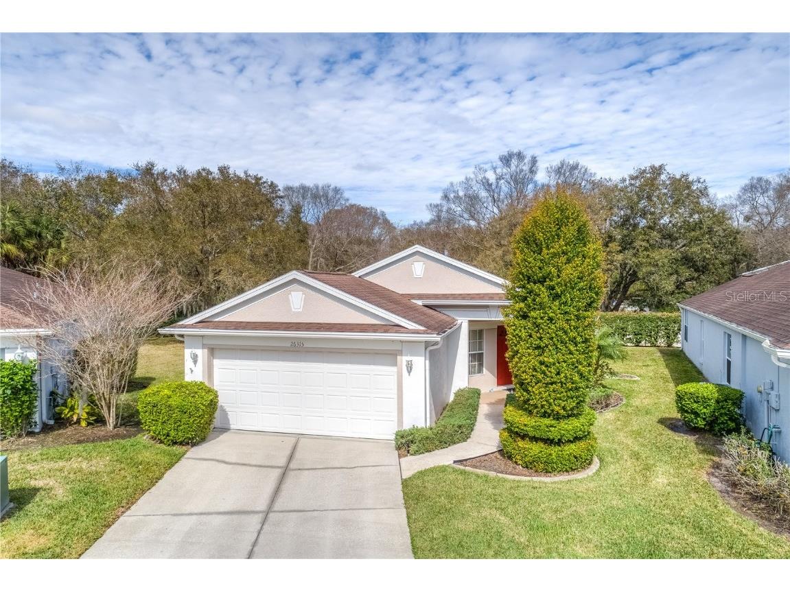 26315 Whirlaway Terrace Wesley Chapel FL 33544 T3504511 image1