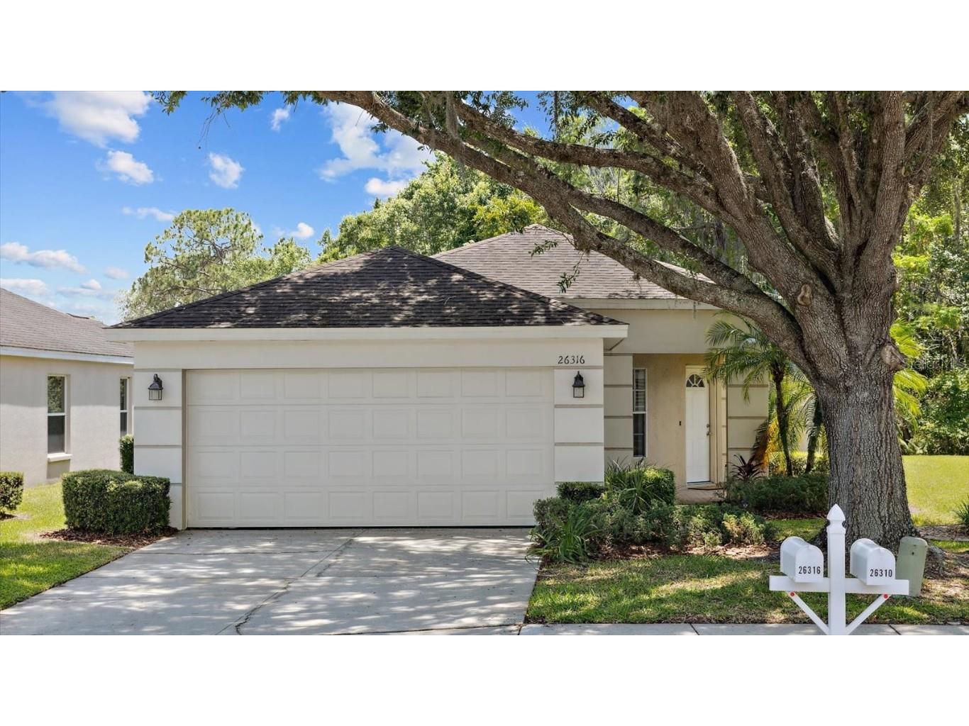 26316 Whirlaway Terrace Wesley Chapel FL 33544 T3523081 image1