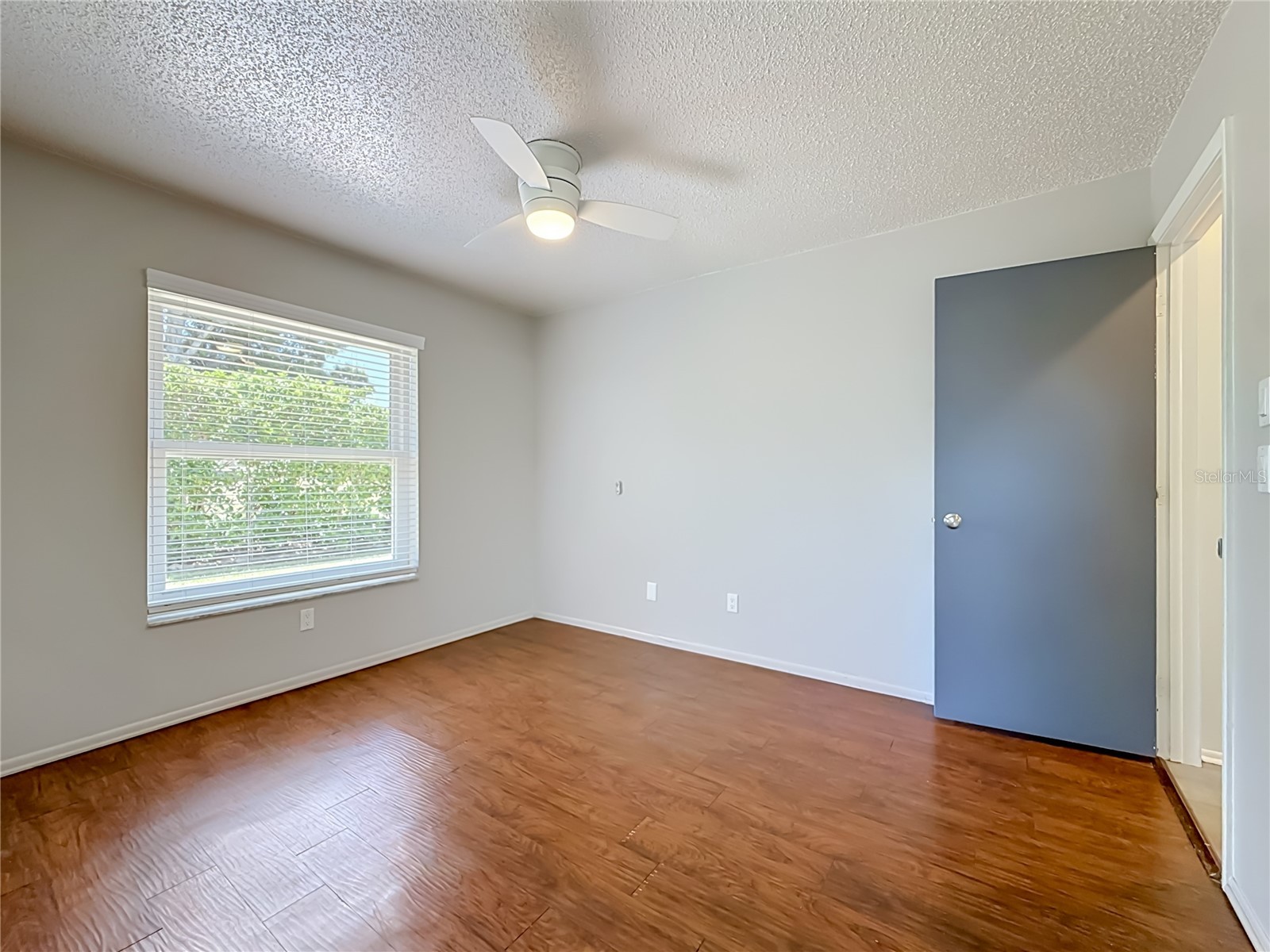 2632 Camille Drive Palm Harbor FL 34684 TB8525654 image32
