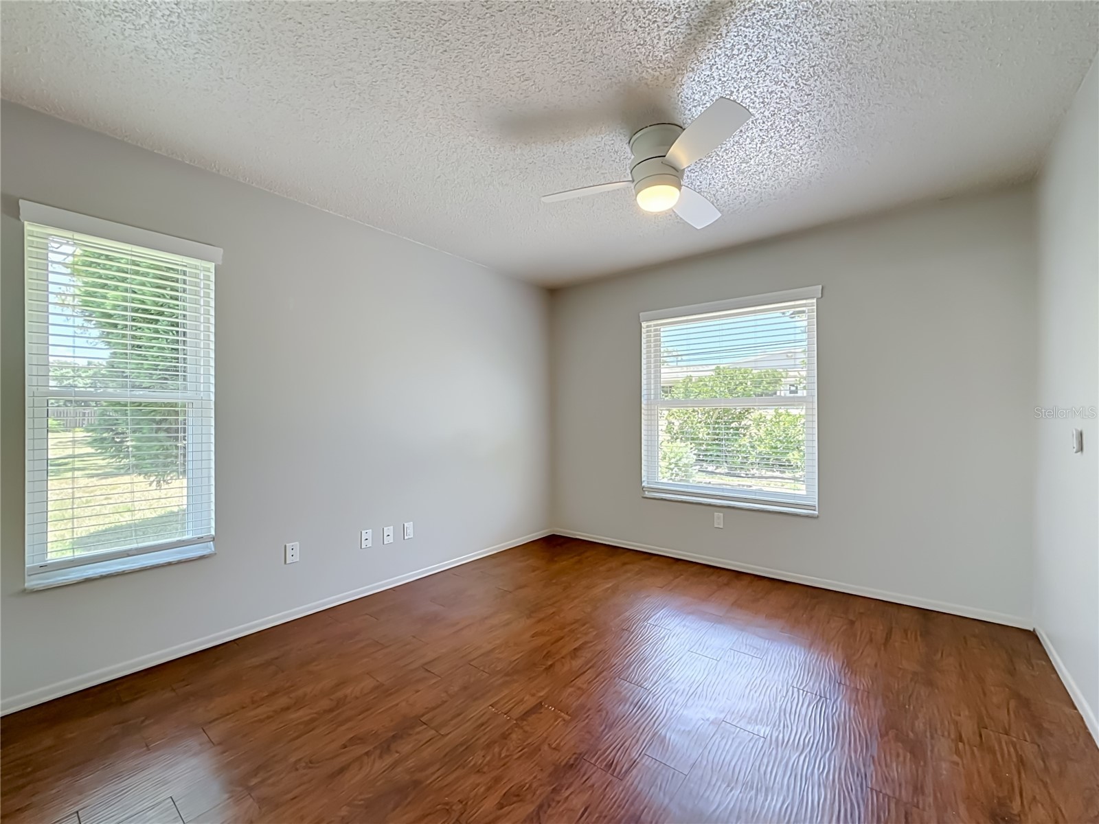 2632 Camille Drive Palm Harbor FL 34684 TB8525654 image33