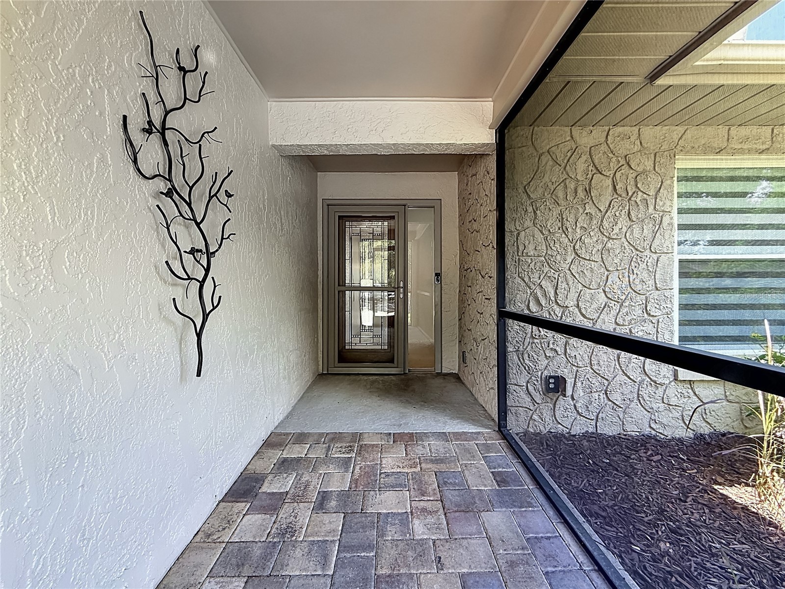 2632 Camille Drive Palm Harbor FL 34684 TB8525654 image4