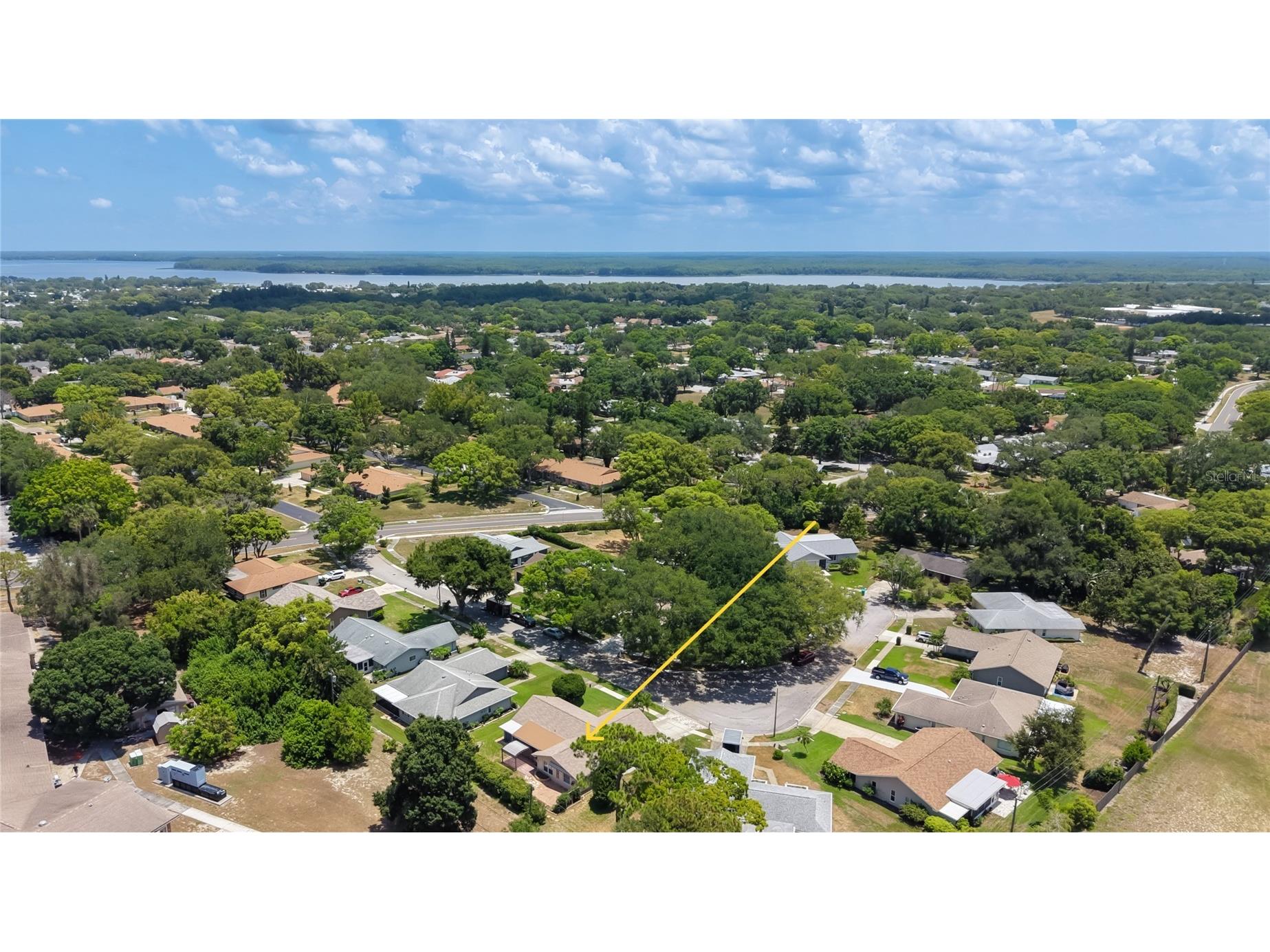 2632 Camille Drive Palm Harbor FL 34684 TB8525654 image53