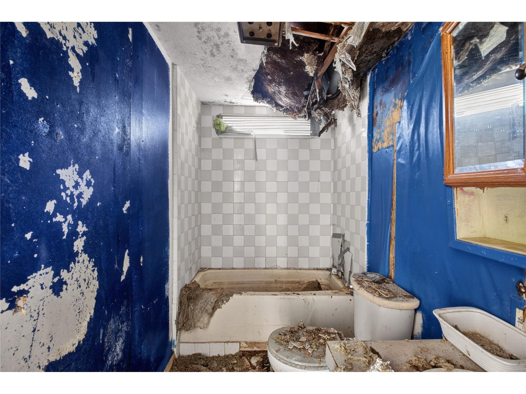 2632 Frances Drive Deland FL 32724 O6402340 image25