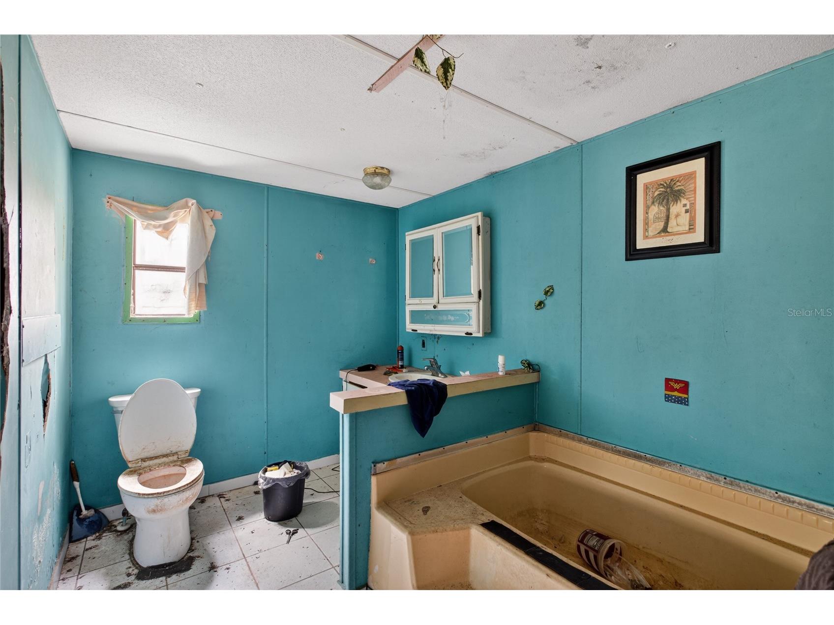 2632 Frances Drive Deland FL 32724 O6402340 image6