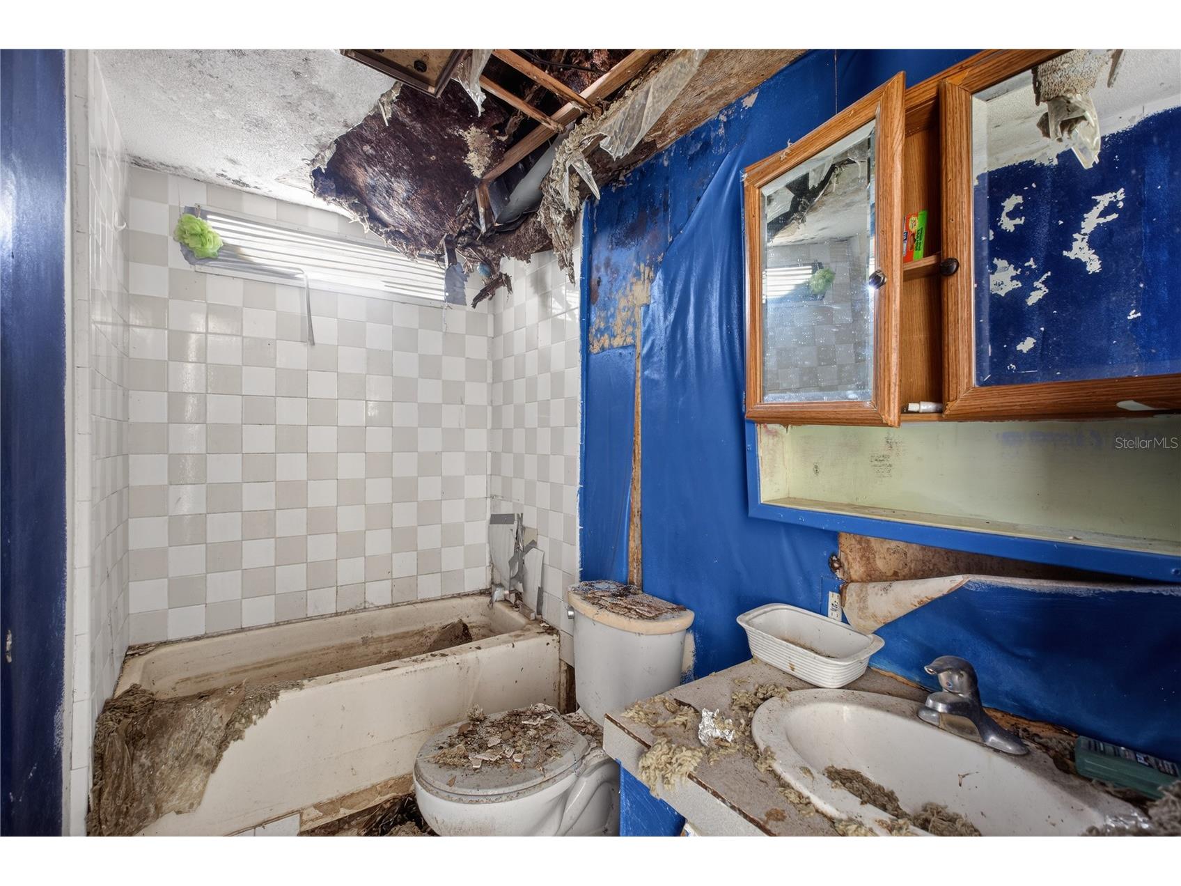 2632 Frances Drive Deland FL 32724 O6402340 image8