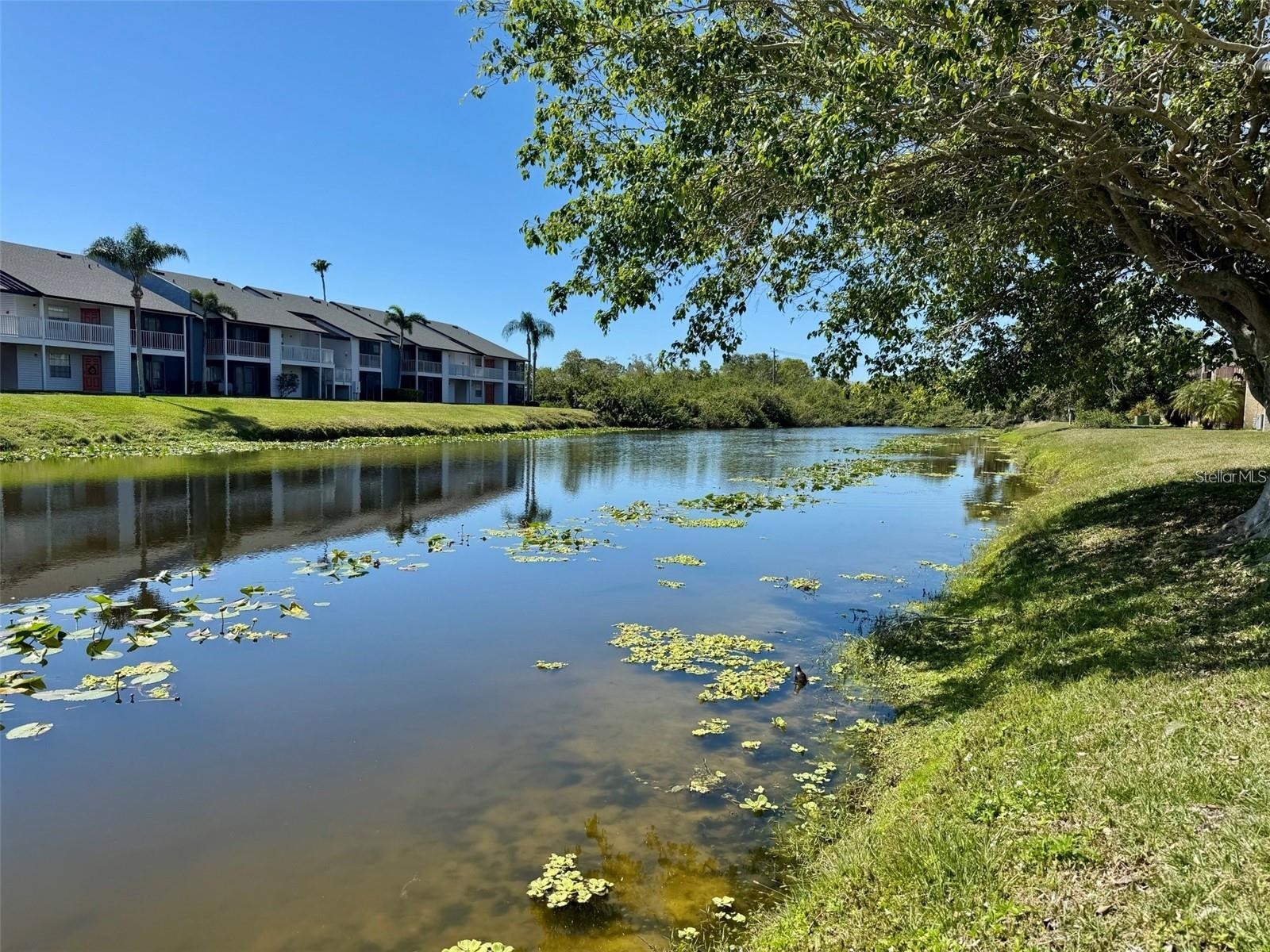2632 Hidden Lake Drive N #E Sarasota FL 34237 A4689851 image28