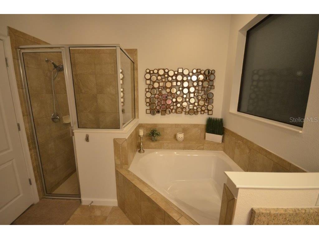 2632 Tranquility Way Kissimmee FL 34746 O6422034 image16