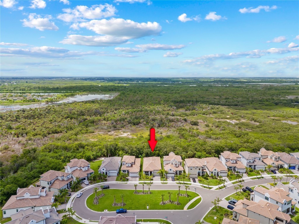 2632 Yellow Sundial Loop Ruskin FL 33570 TB8447489 image41