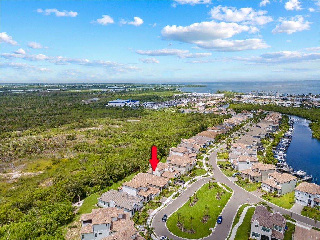 2632 Yellow Sundial Loop Ruskin FL 33570 TB8447489 image42