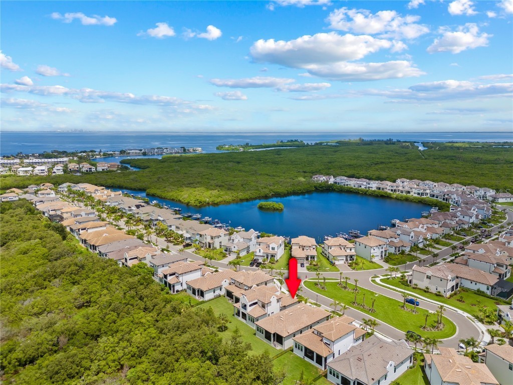 2632 Yellow Sundial Loop Ruskin FL 33570 TB8447489 image44