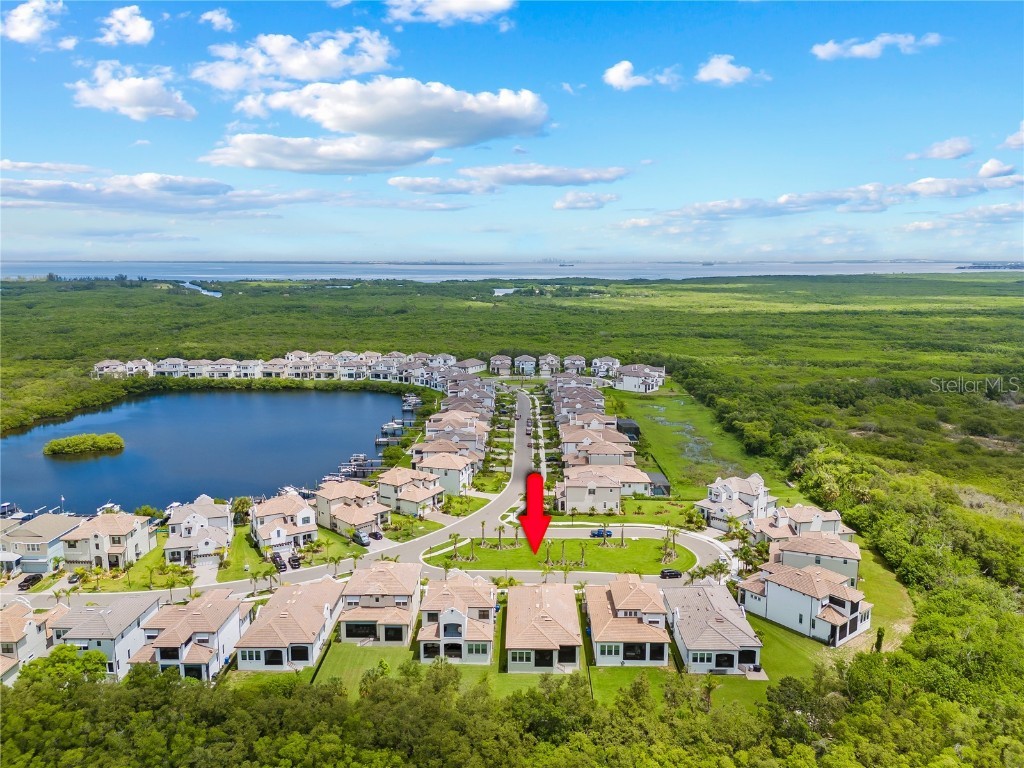 2632 Yellow Sundial Loop Ruskin FL 33570 TB8447489 image45