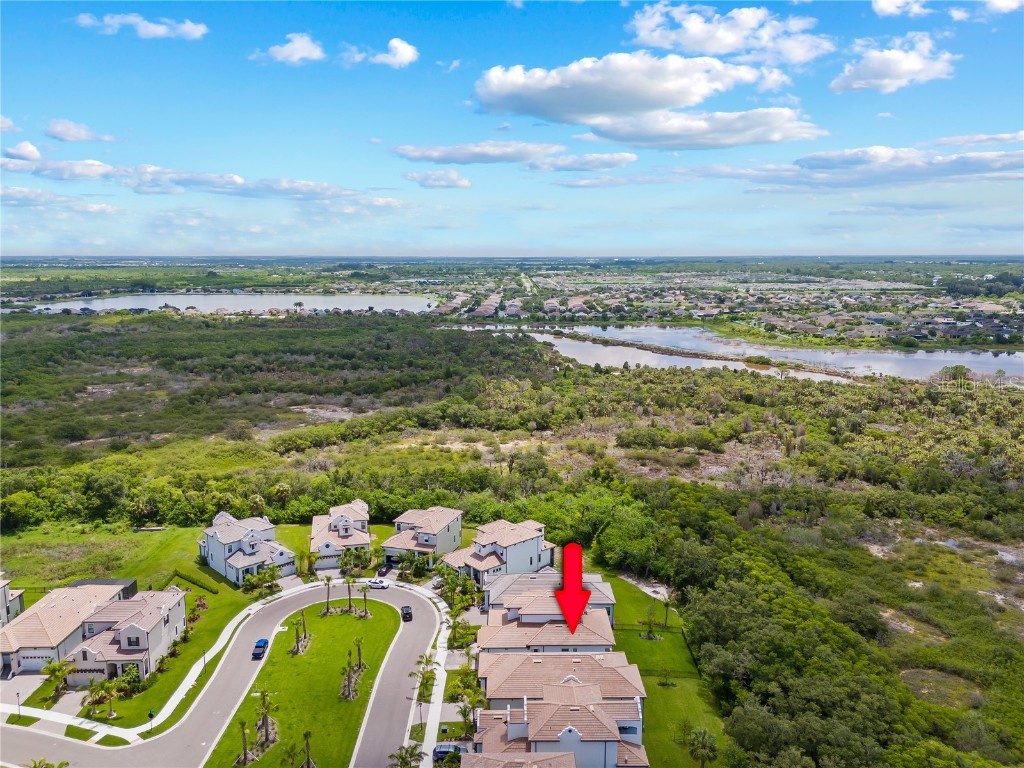2632 Yellow Sundial Loop Ruskin FL 33570 TB8447489 image46