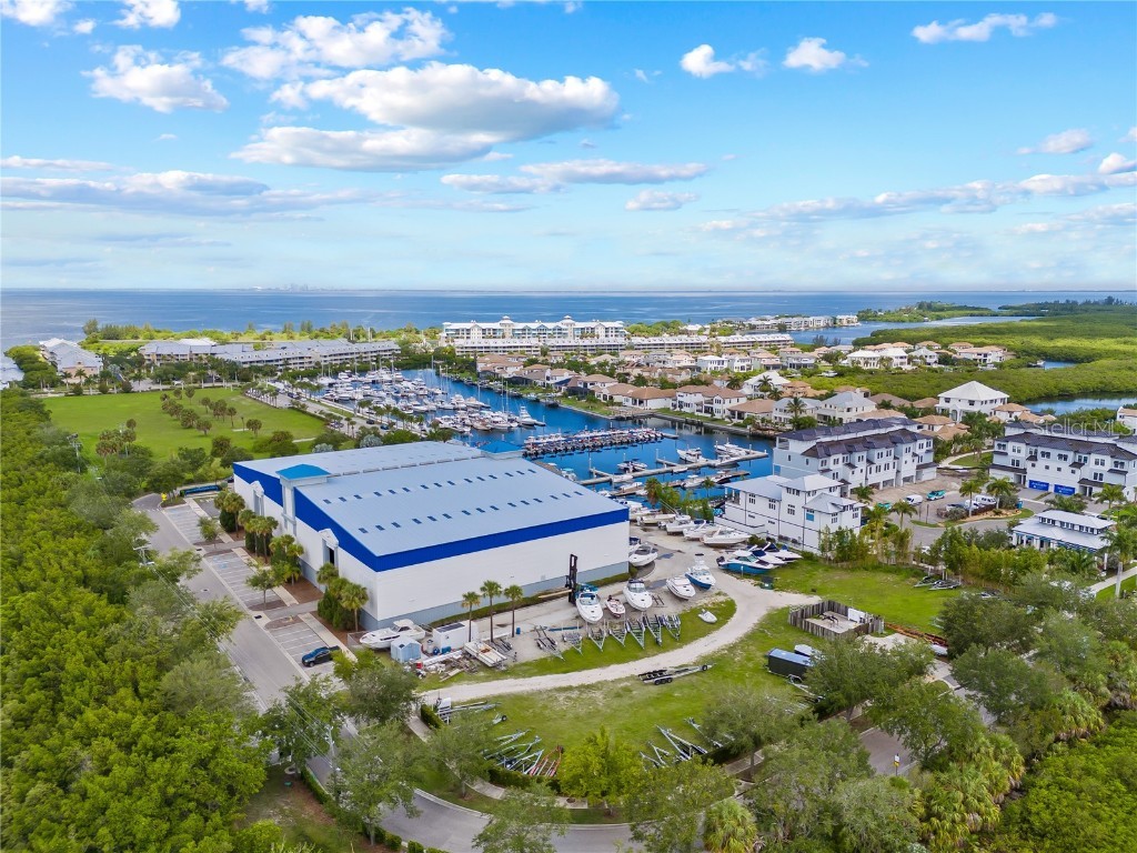 2632 Yellow Sundial Loop Ruskin FL 33570 TB8447489 image47