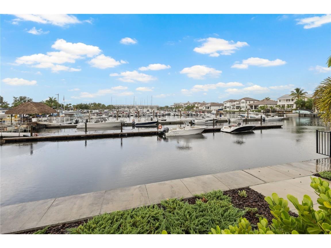 2632 Yellow Sundial Loop Ruskin FL 33570 TB8447489 image52