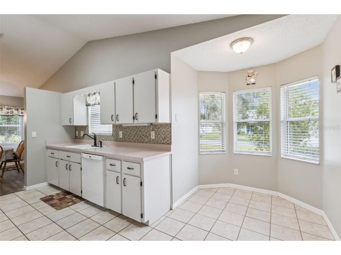 26320 Evert Street Leesburg FL 34748 G5105199 image17