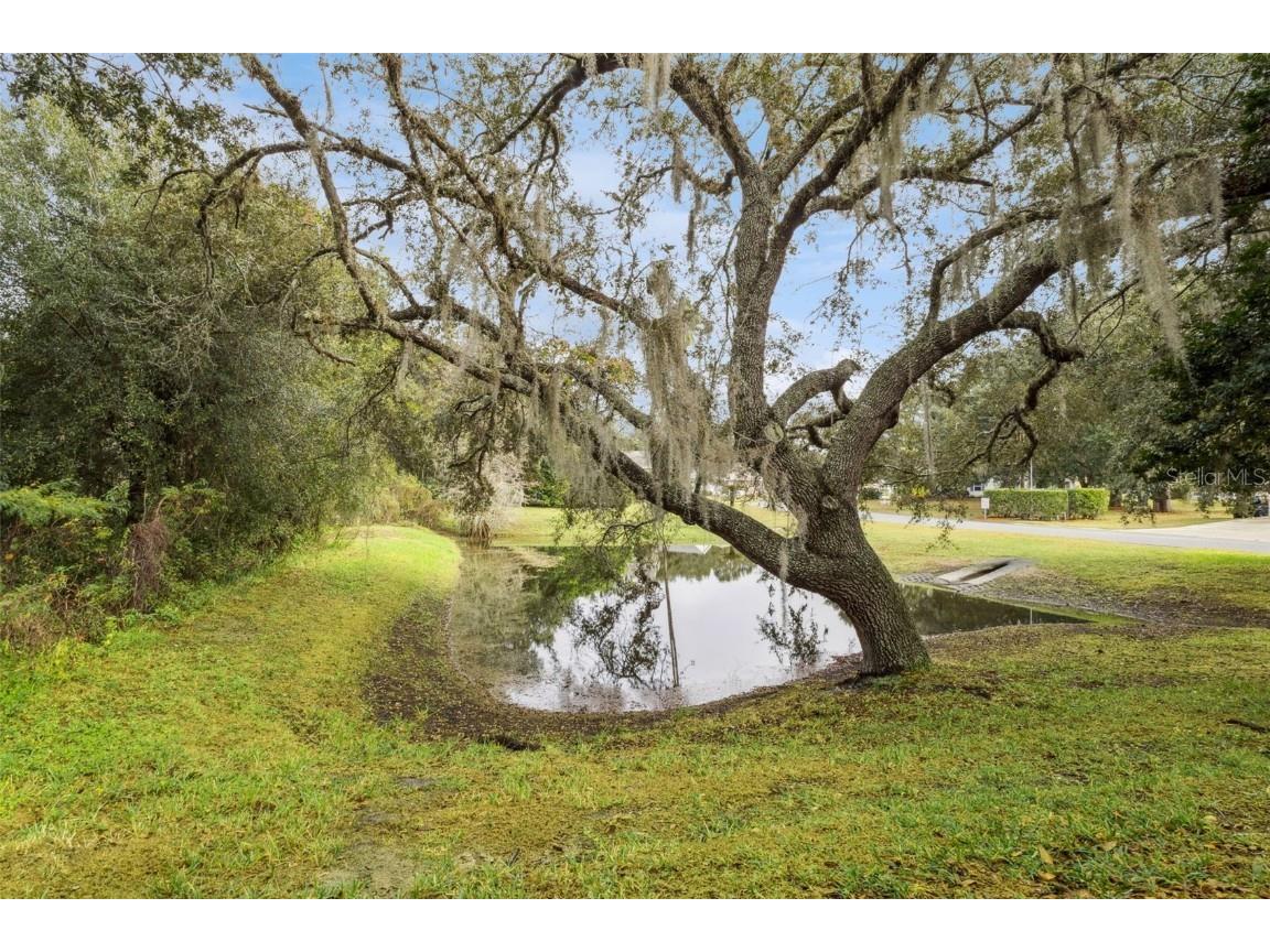 26320 Evert Street Leesburg FL 34748 G5105199 image25