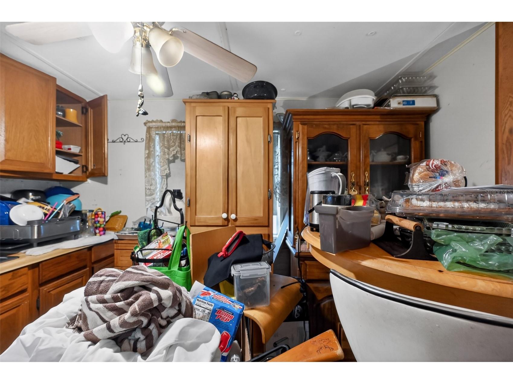 26322 Brahma Drive Wesley Chapel FL 33544 TB8519357 image12