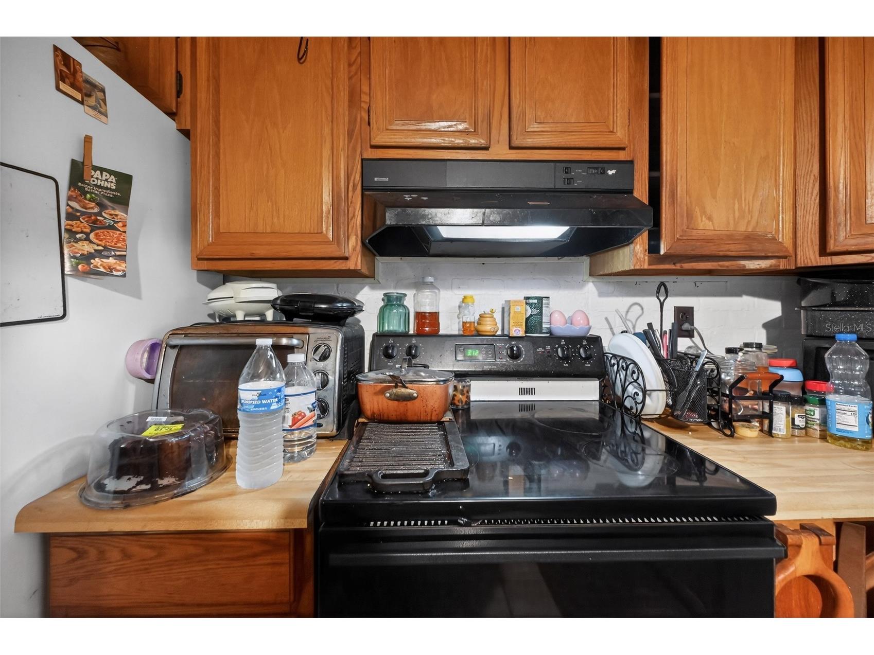 26322 Brahma Drive Wesley Chapel FL 33544 TB8519357 image13