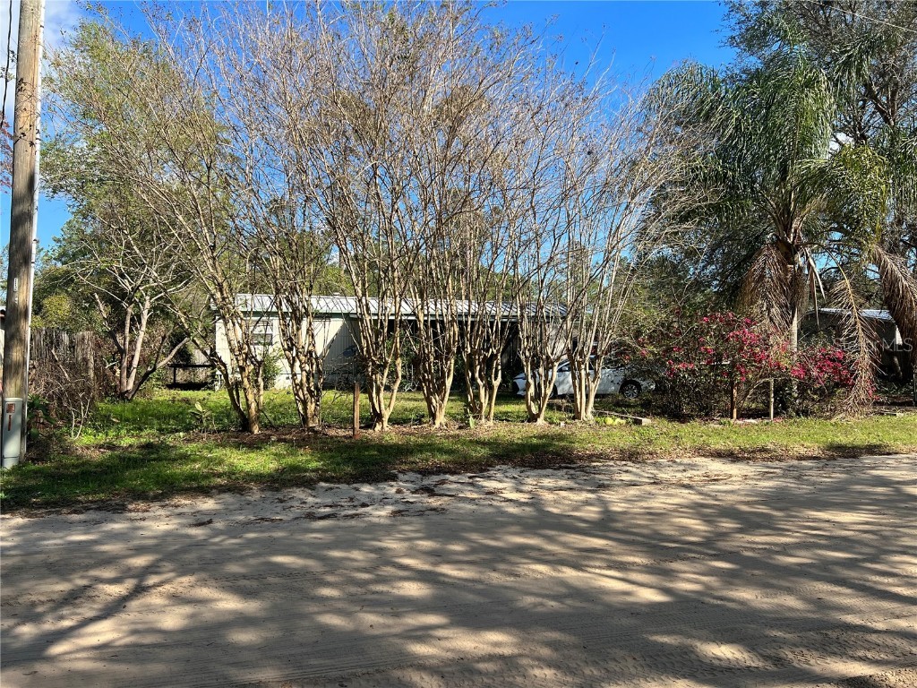 26325 Orange Circle Paisley FL 32767 V4928798 image1