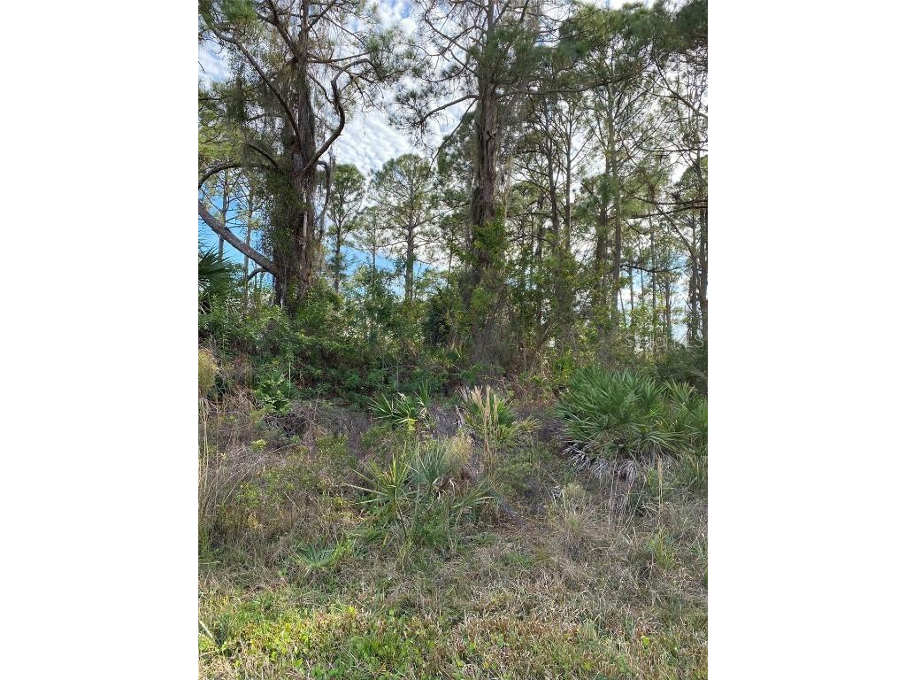 2633 Jacobs Street Port Charlotte FL 33953 C7454773 image1