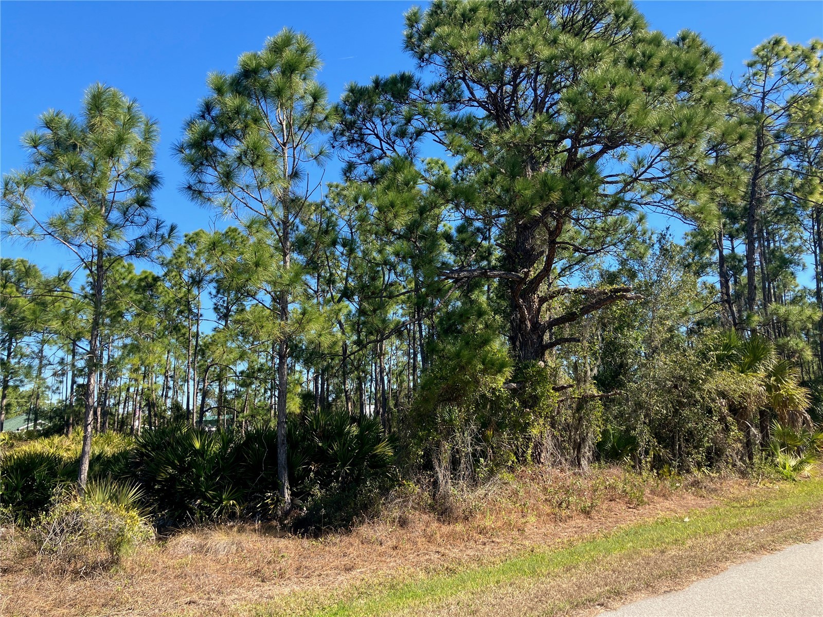 26334 Eager Road Punta Gorda FL 33955 C7521570 image3