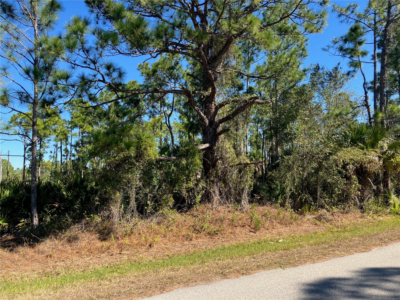 26334 Eager Road Punta Gorda FL 33955 C7521570 image4