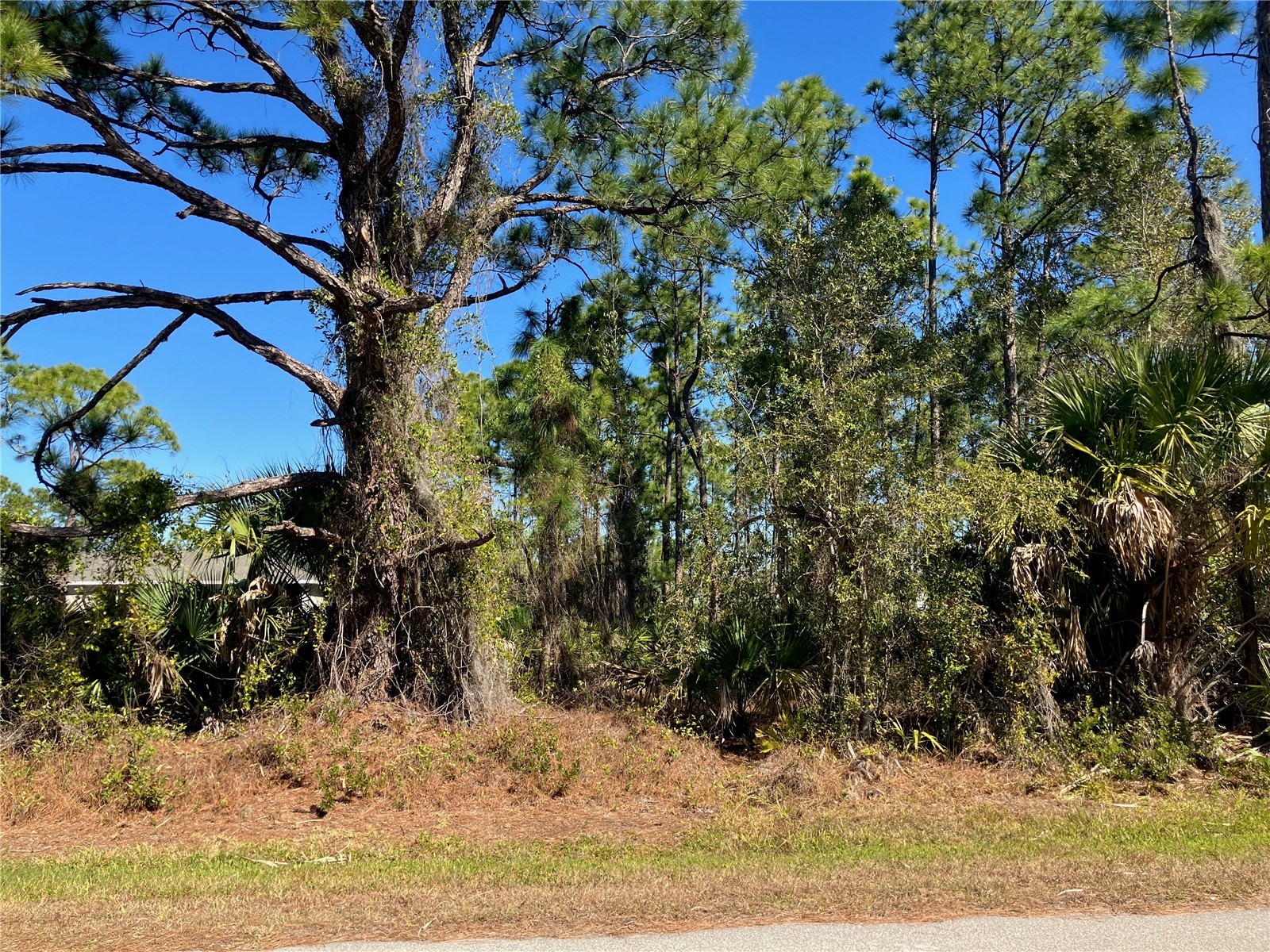 26334 Eager Road Punta Gorda FL 33955 C7521570 image5