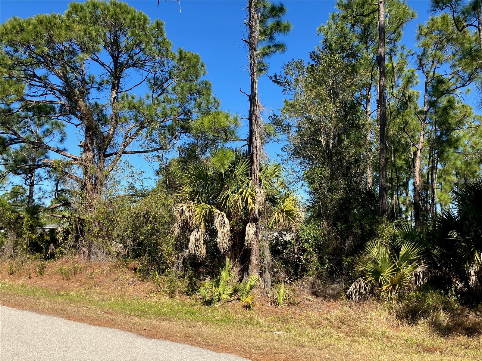 26334 Eager Road Punta Gorda FL 33955 C7521570 image7