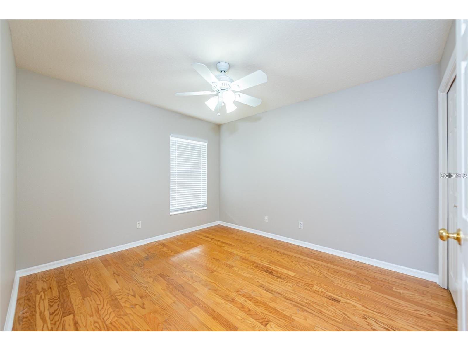 2634 Brookville Drive Valrico FL 33596 TB8505901 image12