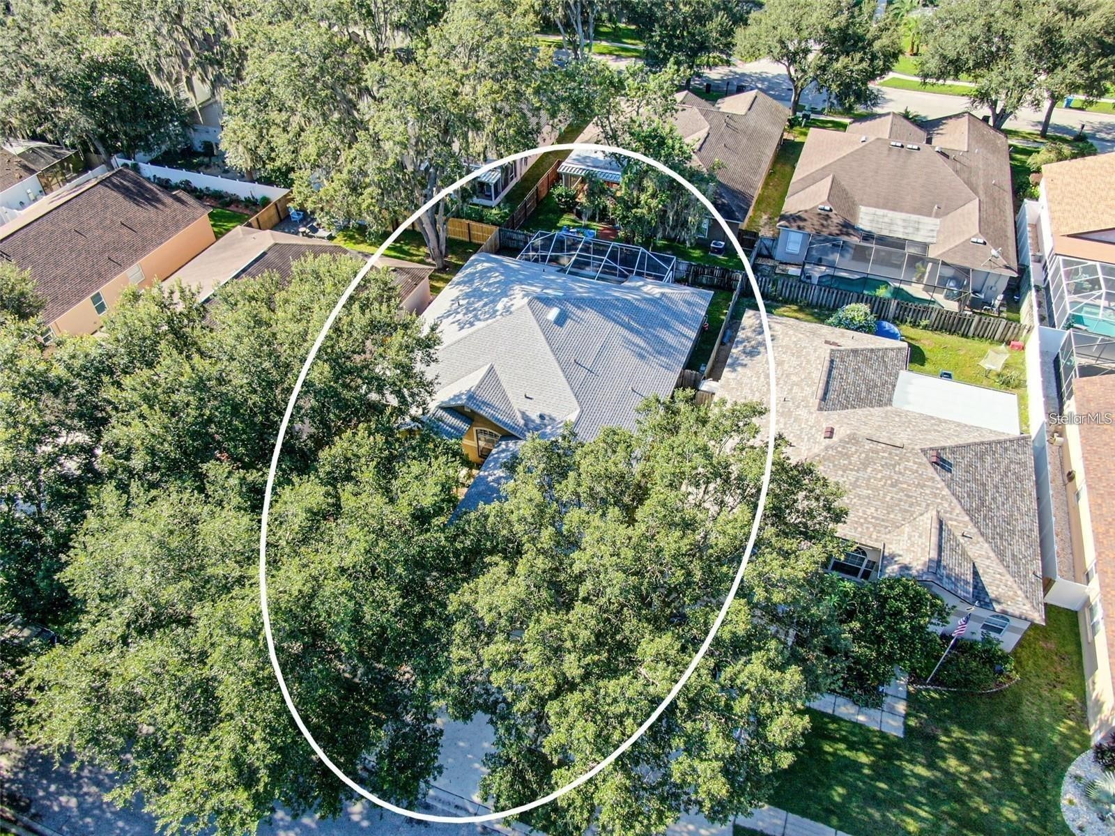 2634 Brookville Drive Valrico FL 33596 TB8505901 image26