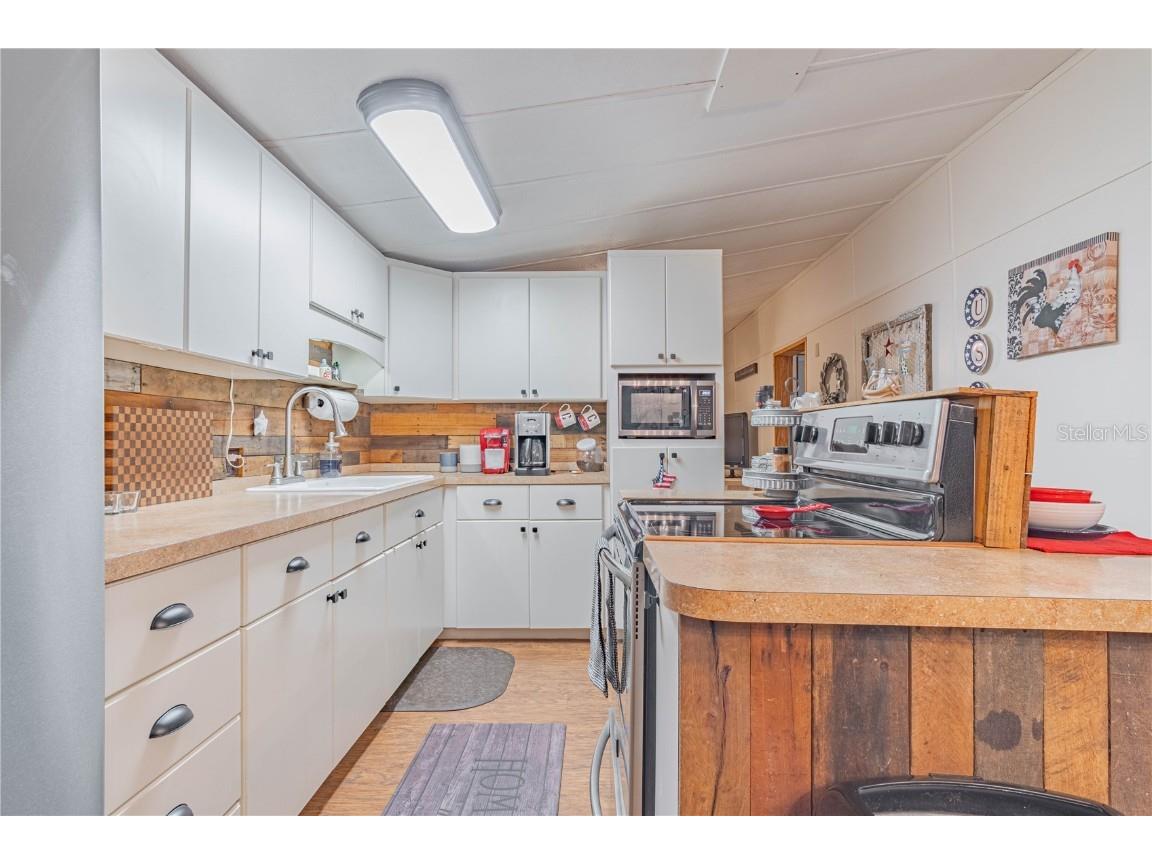 2634 Cr 416n Lake Panasoffkee FL 33538 G5098045 image11