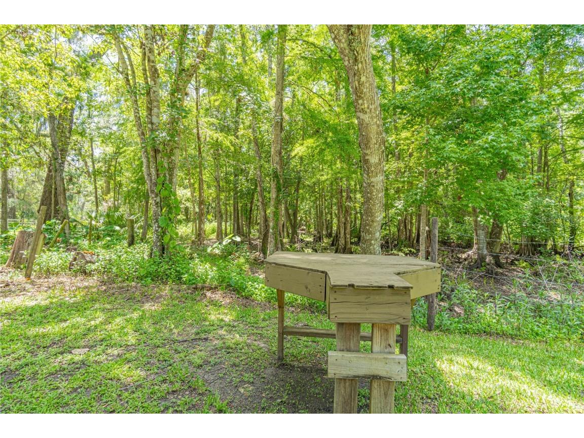 2634 Cr 416n Lake Panasoffkee FL 33538 G5098045 image31