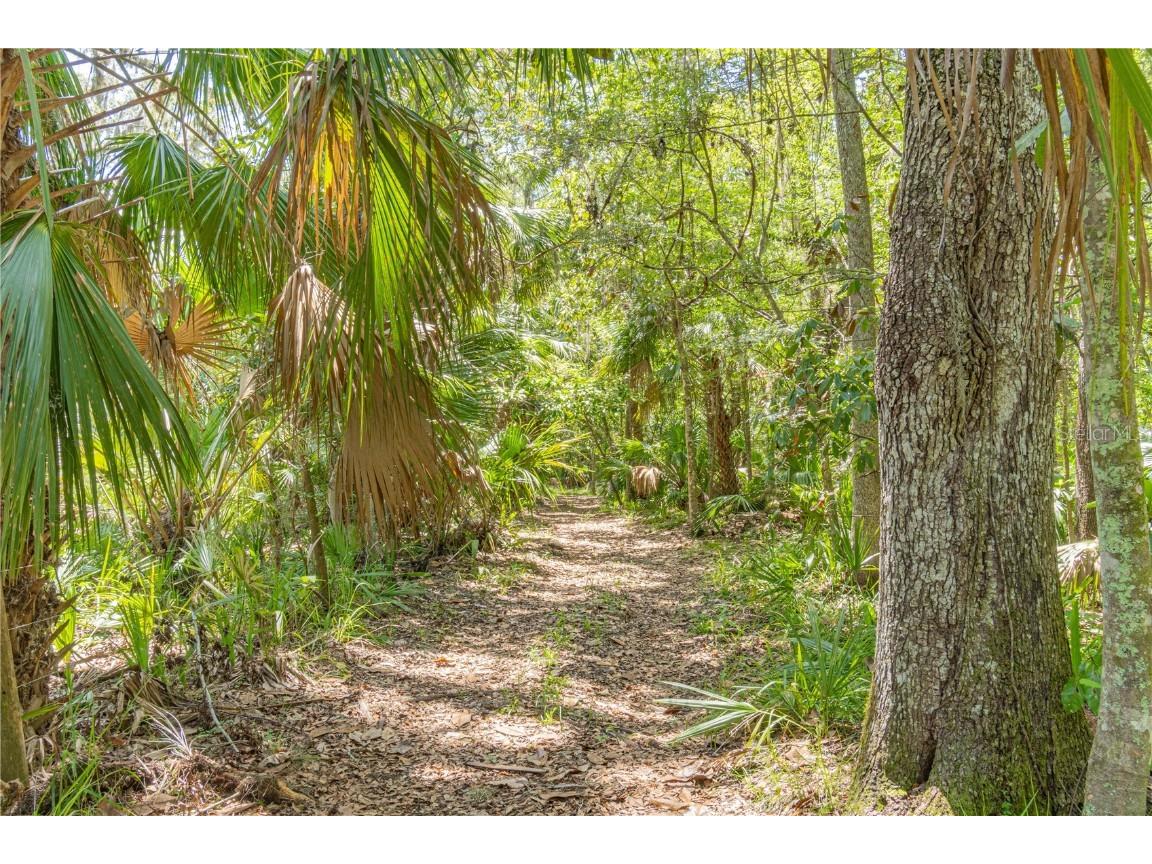2634 Cr 416n Lake Panasoffkee FL 33538 G5098045 image33