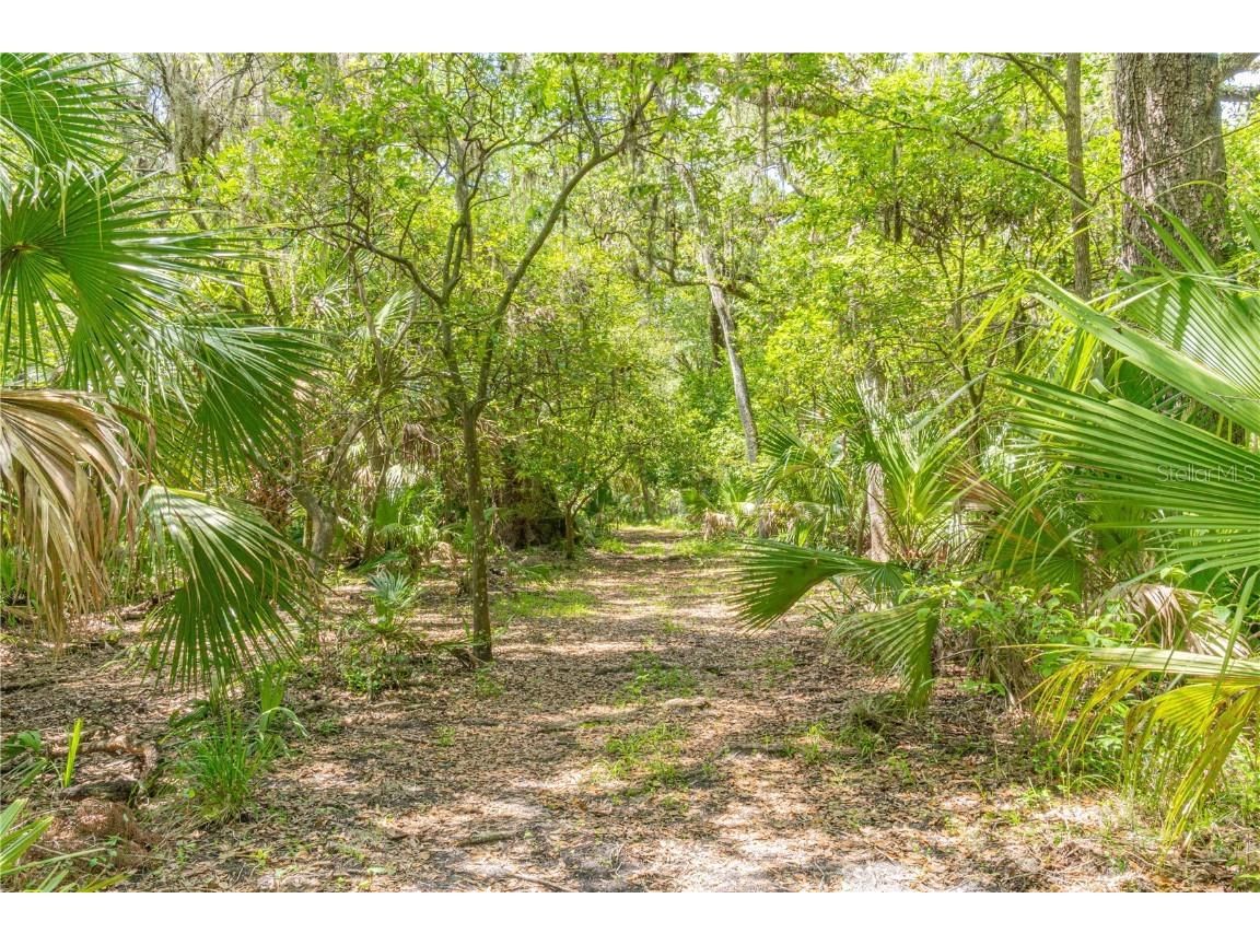 2634 Cr 416n Lake Panasoffkee FL 33538 G5098045 image34