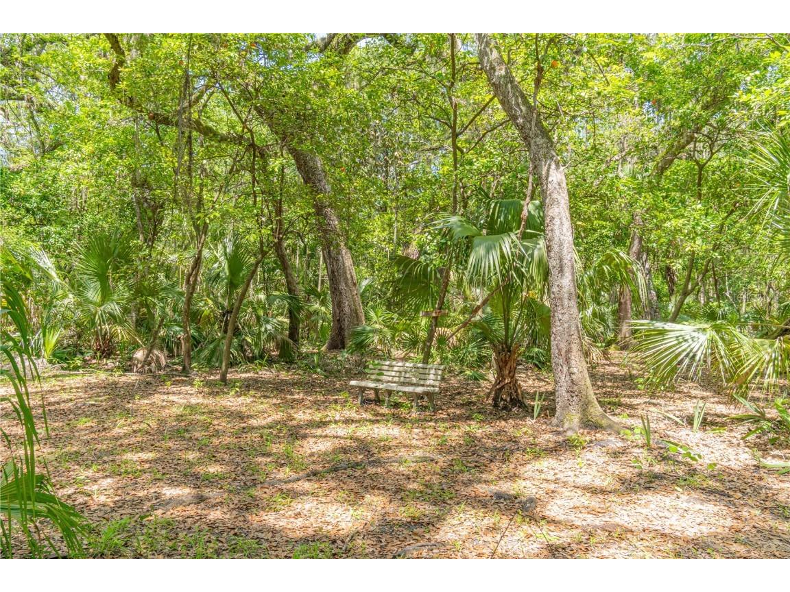 2634 Cr 416n Lake Panasoffkee FL 33538 G5098045 image36