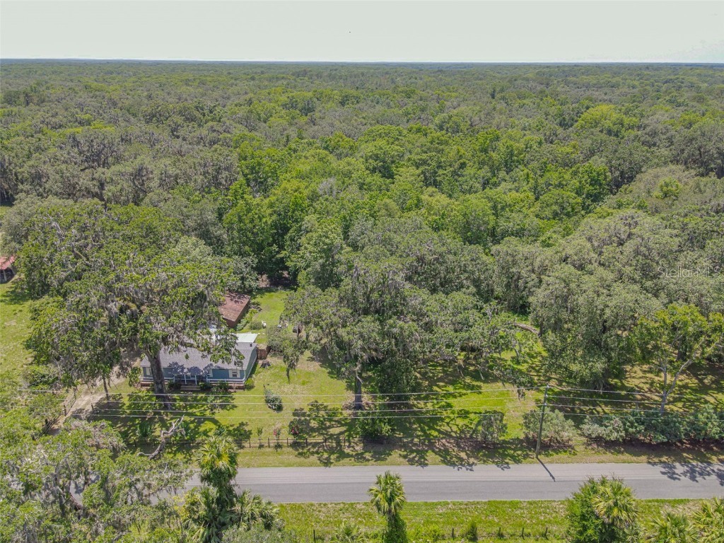 2634 Cr 416n Lake Panasoffkee FL 33538 G5098045 image38