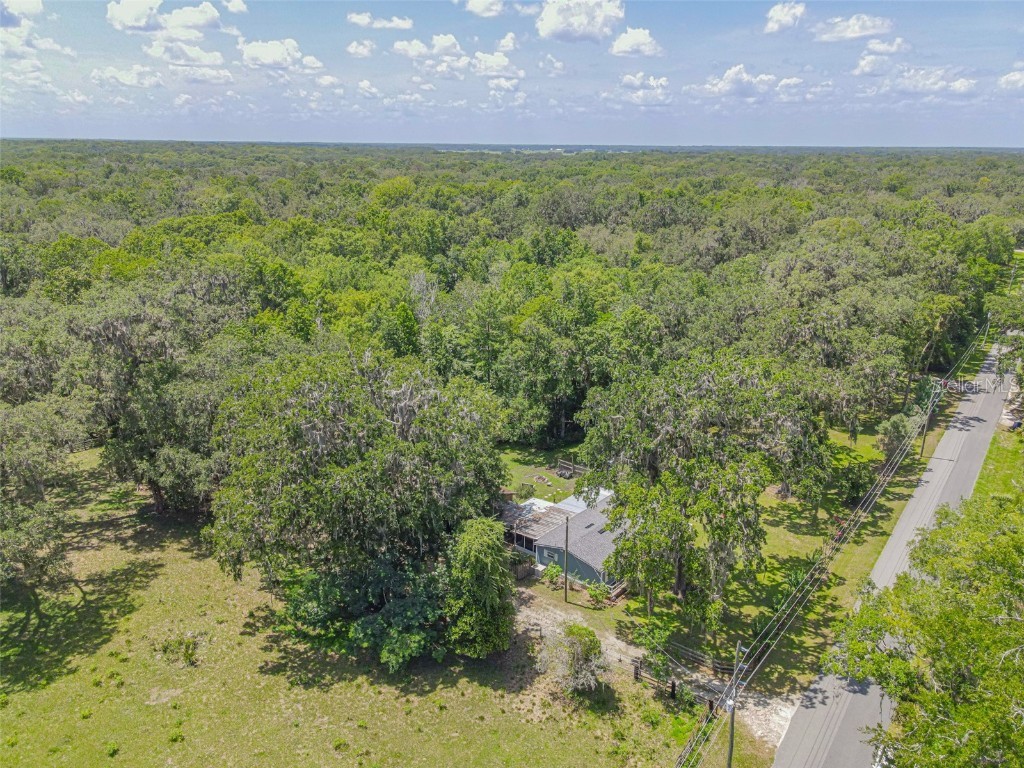 2634 Cr 416n Lake Panasoffkee FL 33538 G5098045 image39