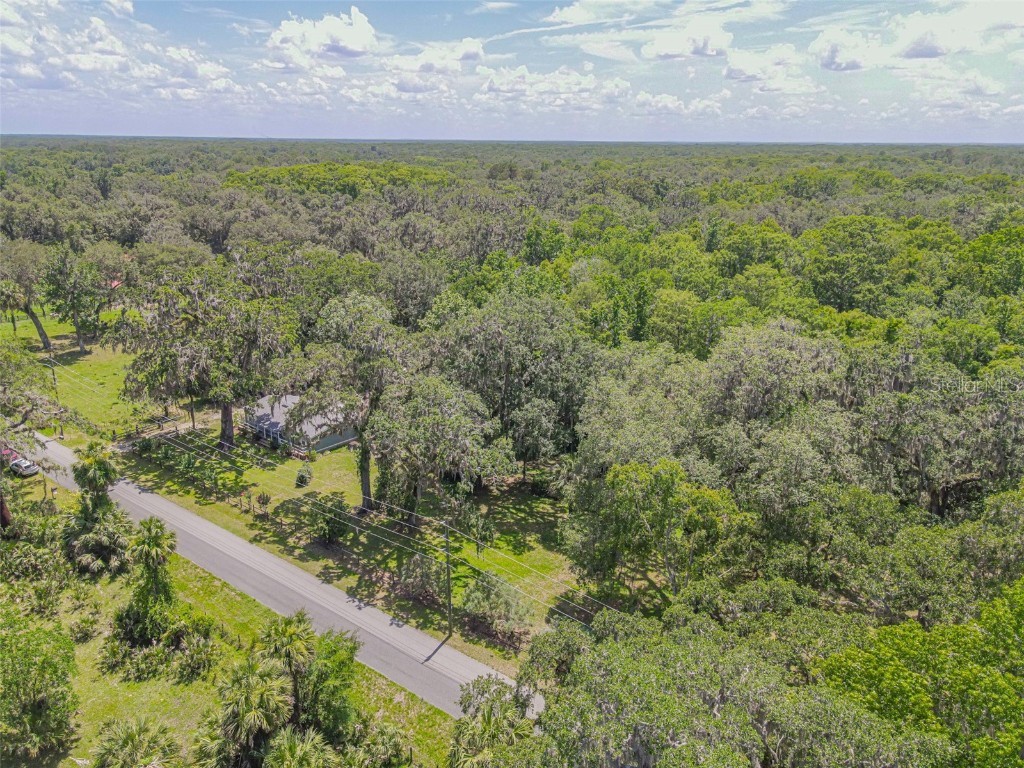 2634 Cr 416n Lake Panasoffkee FL 33538 G5098045 image40