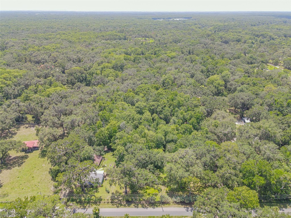 2634 Cr 416n Lake Panasoffkee FL 33538 G5098045 image41