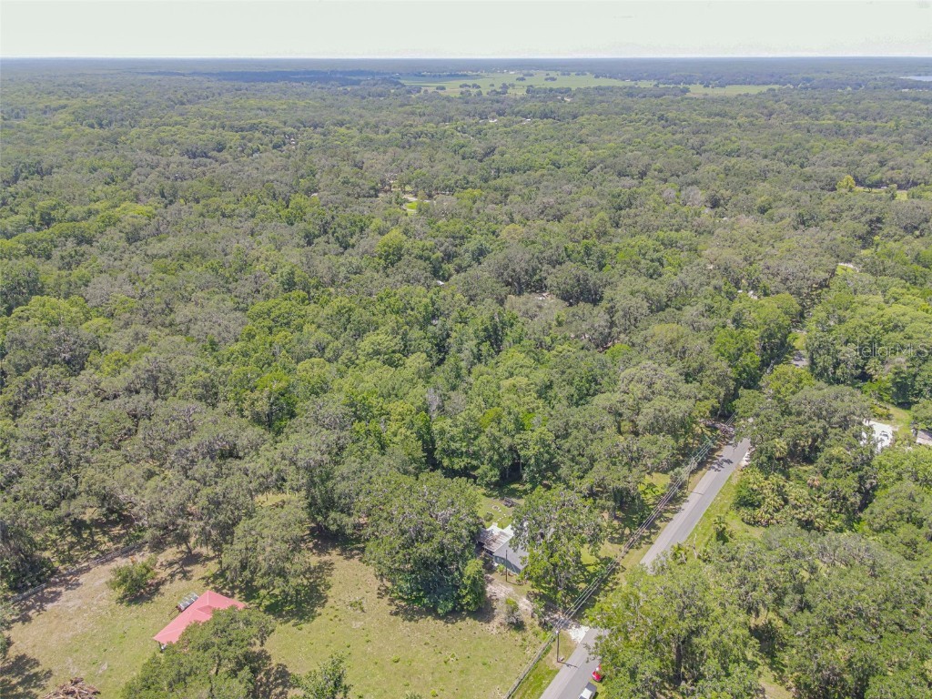 2634 Cr 416n Lake Panasoffkee FL 33538 G5098045 image42