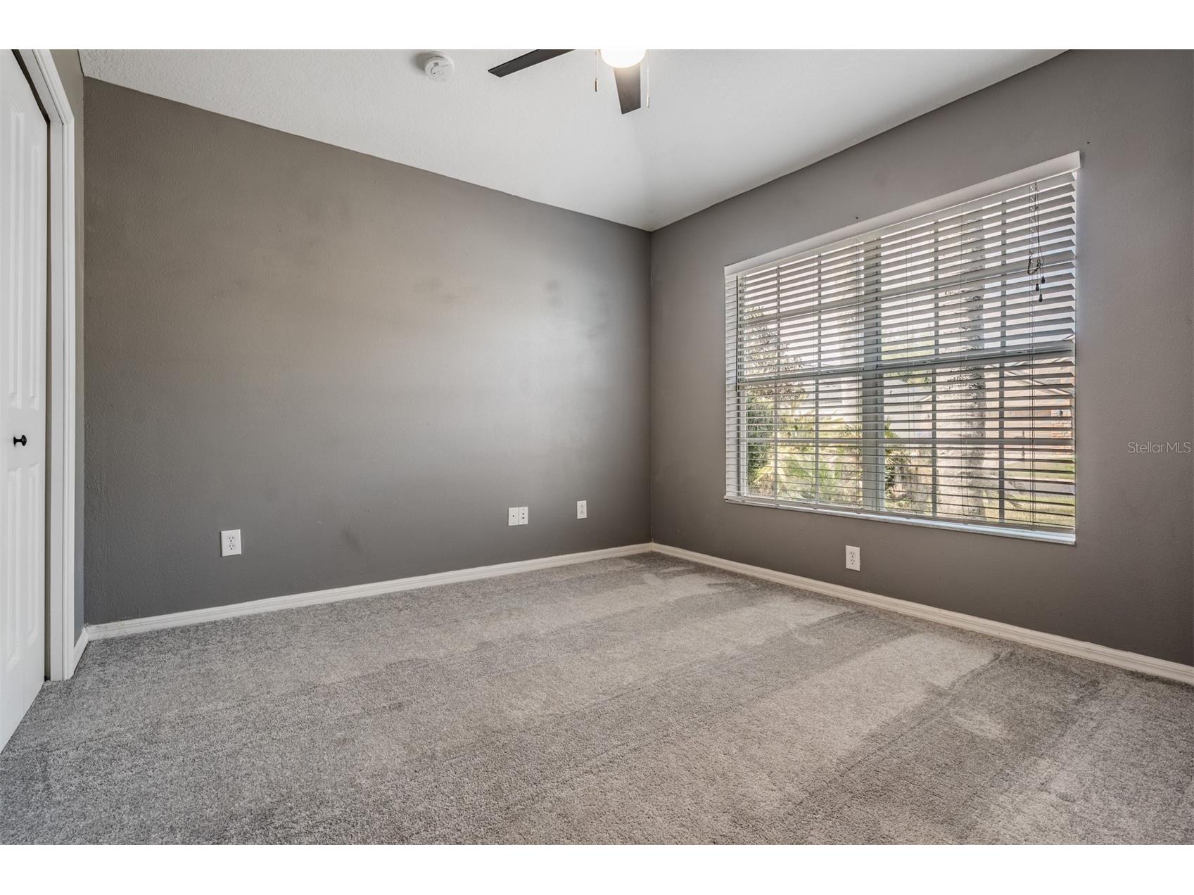2634 Palesta Drive Trinity FL 34655 TB8490209 image12