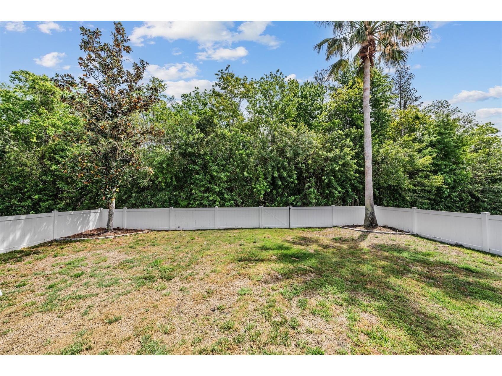 2634 Palesta Drive Trinity FL 34655 TB8490209 image23
