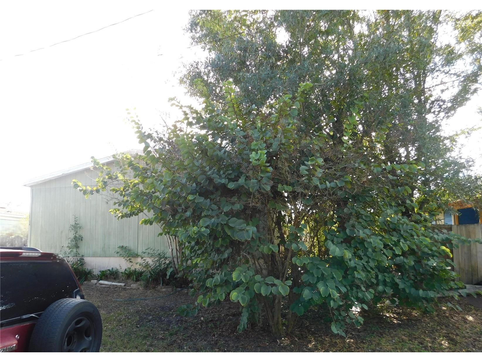 2634 Sea Oats Circle N Lakeland FL 33815 TB8458741 image3