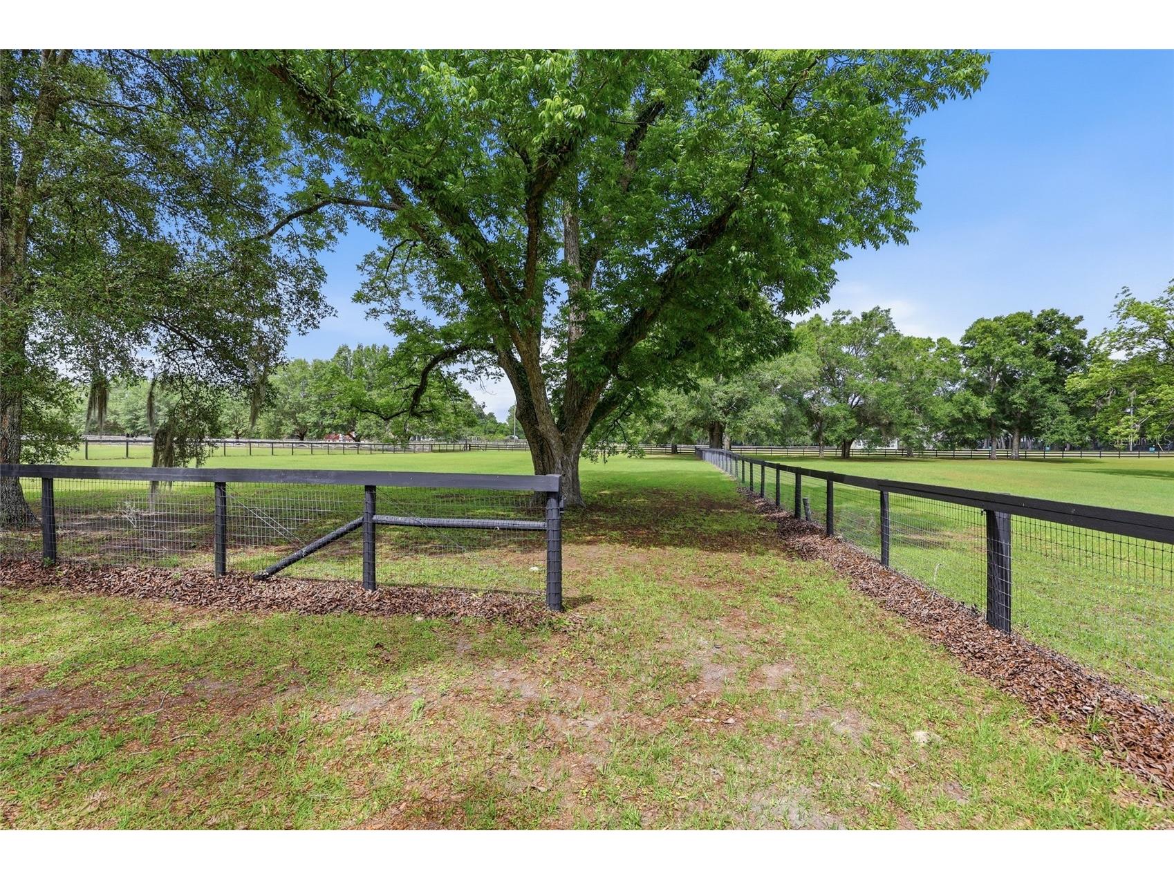26341 NW 166th Avenue High Springs FL 32643 O6410228 image42